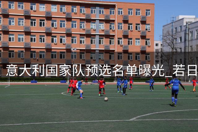 意大利国家队预选名单曝光 若日尼奥有望复出